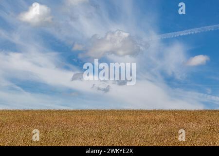 Blue sky and wispy clouds over a field in the South Downs Stock Photo