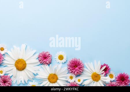 Assorted garden blossom flower heads on blue background with space for text. Flat lay Stock Photo