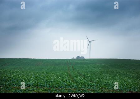 Wind Turbine on a Farm, Forlev, Region Midtjylland, Jutland Peninsula, Denmark Stock Photo