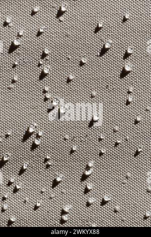 Waterdrops on waterproof fabric in bright daylight with strong shadows. Full frame shot with large group of droplets Stock Photo