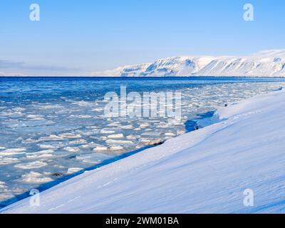 Coast of Colesbukta part of Isfjord during winter, on the island of Spitsbergen in the Svalbard archipelago. Polar region, arctic, Norway, Svalbard Stock Photo