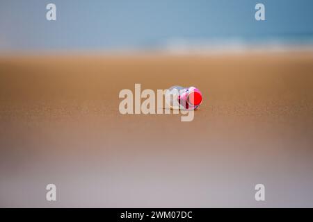 A plastic drink bottle on an otherwise deserted beach on the east coast of India Stock Photo
