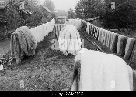 Vrancea County, Romania, 2000. Large number of traditional wool blankets drying out after being washed  at a water mill. Stock Photo