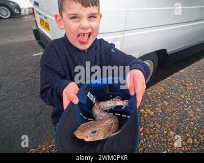 A boy holds a dogfish in Seaford, England Stock Photo