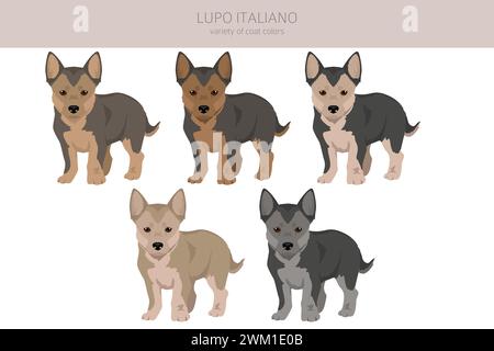 Lupo Italiano clipart. Different coat colors set.  Vector illustration Stock Vector