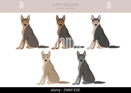 Lupo Italiano clipart. Different coat colors set.  Vector illustration Stock Vector