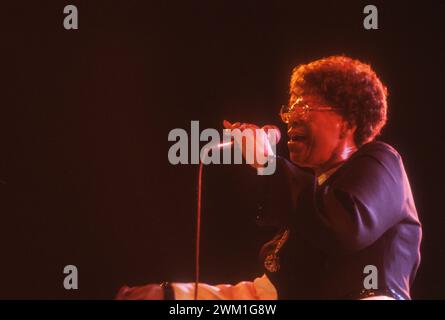 4068689 Le Focette (Tuscany), August 1980. Jazz singer Ella Fitzgerald performing at the Bussoladomani (photo); (add.info.: Pietrasanta, Italy; Italia, Le Focette di Marina di PietrasaElla Fitzgerald and Joe Pass at Bussola Domani  Le Focette, località  di Marina di Pietrasanta (Lucca), agosto 1980. La cantante Ella Fitzgerald in concerto a Bussoladomani); © Marcello Mencarini. All rights reserved 2024. Stock Photo