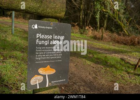 Fungi notice. Please leave alone. Cardinham Woods, Cornwall, UK Stock Photo
