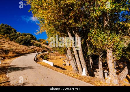 Fuente de El Raso recreational area in autumn. Frailes, Jaén, Andalucía, Spain, Europe Stock Photo