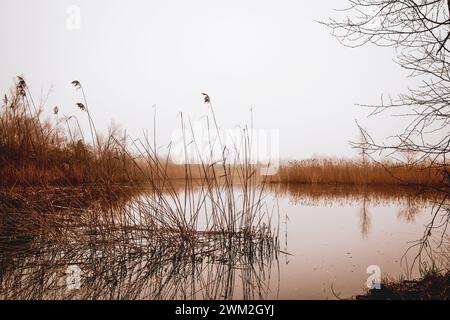 A picturesque lake is situated in the center of a lush field with trees on the outskirts, creating a stunning natural landscape in the ecoregion Stock Photo