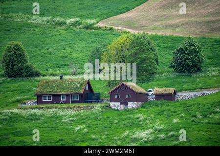 Turf roof is a traditional Scandinavian type of roof, helps to insulate home in Norway Stock Photo