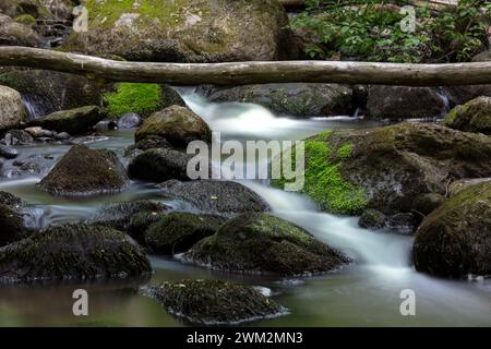Stream of water flowing over mossy rocks in long exposure image. Green moss on rocks. Fallen tree log crosses stream. Stock Photo