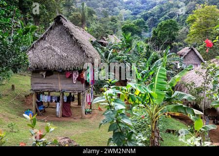 Beautiful traditional village of Embera tribe in a tropical rainforest in Chagres national park close to Panama city, Panama, Central America Stock Photo