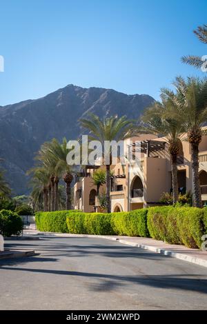 Row of arabic style modern townhouses, residential architecture with green vegetation and palm trees around, Fujairah, UAE Stock Photo