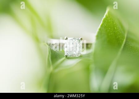 Engagement Ring with Leaves Stock Photo