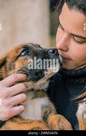 Close-up of a young female veterinarian being affectionate with a dog puppy in her arms. Stock Photo