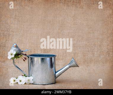 Cherry branch with white blooming flowers. Tender photo with a branch of blooming cherry with white flowers and green leaves . Place for text or logo. Stock Photo