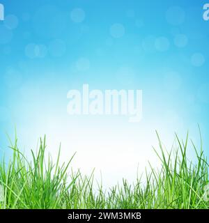 Natural green background. bokeh on abstract background. Natural outdoors background. Foliage on the background of blurred nature. Natural background f Stock Photo