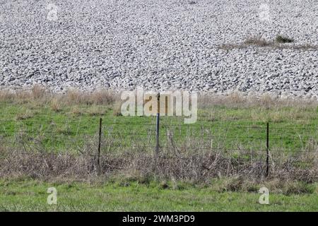 A “Uranium Mill Tailing Repository” and a “Radiation Warning” symbol on a sign along the perimeter fence at the Falls City disposal site near Karnes County, Texas, USA, on February 23, 2024. The Falls City disposal site contains 5.1 million cubic yards of contaminated material, with a total activity of 1,277 curries of radium- 226. The disposal site is located over the Eagle Ford Shale Geological Area, which is an active oil and gas producing region. Recently, the area has had 20 earthquakes of a magnitude 2.5 or or higher in a span of 30 days. (Photo by Carlos Kosienski/Sipa USA) Stock Photo