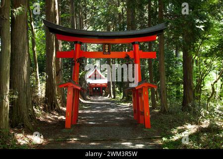 Small shinto shrine in woods area hi-res stock photography and