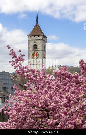 The clock tower from the St. Johann church with blooming cherry flower sakura at the foreground Stock Photo