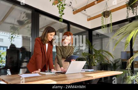 Two happy business women of young and middle age working on laptop in office. Stock Photo