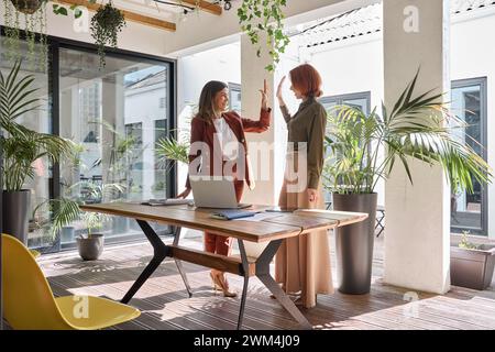 Happy professional business women celebrate success giving high five in office. Stock Photo