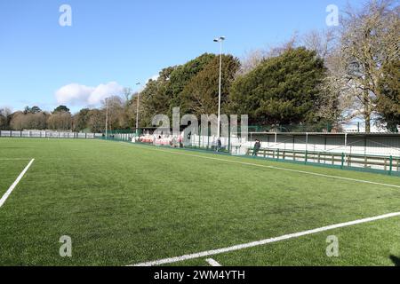 New 4g football pitch, Oaklands Park, Chichester City FC Stock Photo