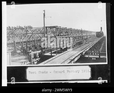 Beet sheds, Oxnard, (California), factory Stock Photo