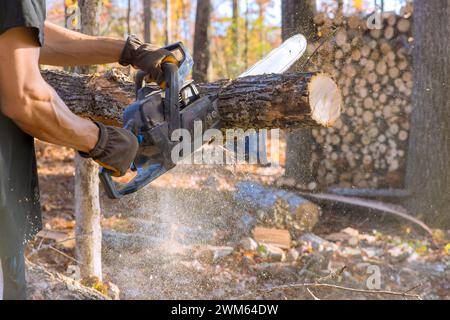 Lumberjack uses a chainsaw to cut down tree during autumn cleaning in forest Stock Photo