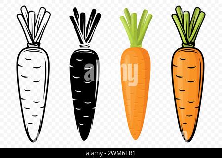 Flat Vector Carrot Icon Set Closeup Isolated. Fresh Black and White and Color Carrots. Healthy Concept, Vegetable Illustration for Culinary Design Stock Vector