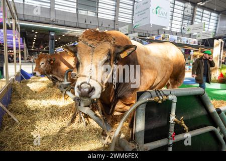 Paris, France. 24th Feb, 2024. © PHOTOPQR/OUEST FRANCE/Mathieu Pattier ; PARIS ; 24/02/2024 ; Samedi 24 février 2024, premier jour de la 60ème édition du salon international de l'agriculture de Paris porte de Versailles . Illustration du hall 1 . Paris, France, February 23, 2024.60th International Agricultural Show at the Porte de Versailles. Credit: MAXPPP/Alamy Live News Stock Photo