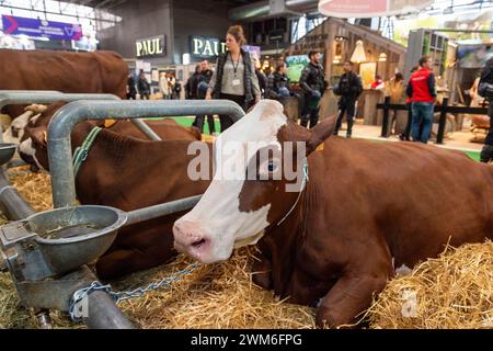 Paris, France. 24th Feb, 2024. © PHOTOPQR/OUEST FRANCE/Mathieu Pattier ; PARIS ; 24/02/2024 ; Samedi 24 février 2024, premier jour de la 60ème édition du salon international de l'agriculture de Paris porte de Versailles . Illustration du hall 1 . Paris, France, February 23, 2024.60th International Agricultural Show at the Porte de Versailles. Credit: MAXPPP/Alamy Live News Stock Photo