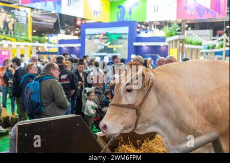 Paris, France. 24th Feb, 2024. © PHOTOPQR/OUEST FRANCE/Mathieu Pattier ; PARIS ; 24/02/2024 ; Samedi 24 février 2024, premier jour de la 60ème édition du salon international de l'agriculture de Paris porte de Versailles . Illustration du hall 1 . Paris, France, February 23, 2024.60th International Agricultural Show at the Porte de Versailles. Credit: MAXPPP/Alamy Live News Stock Photo