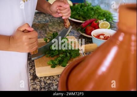 Unrecognizable woman's hands holding a mezzaluna kitchen knife, chopping parsley and cilantro green herbs, preparing greens for seasoning a traditiona Stock Photo