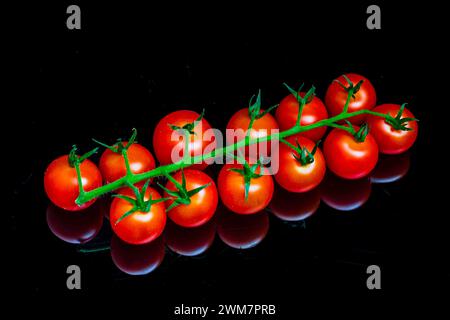 Fresh cherry tomatoes (Solanum lycopersicum) on the vine against a black reflective background. Stock Photo