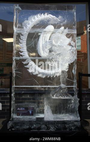 Durham, UK. 24th Feb, 2024. Ice Sculptures in the Stars of the Screen theme taking place across Durham City with live demonstrations, Durham, 24th February, 2024, Credit:DEWAlamy Live News Credit: DEW/Alamy Live News Stock Photo