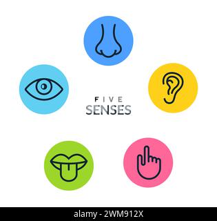 Five human senses vision eye, smell nose, hearing ear, touch hand, taste mouth and tongue. Line vector icons set Stock Vector