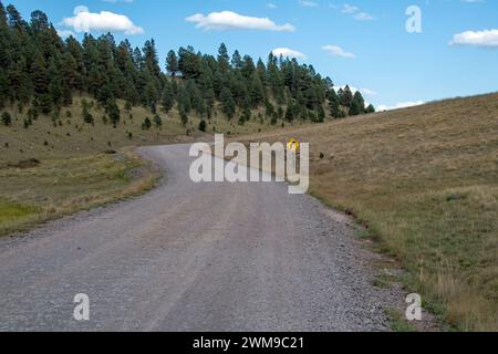 Winding dirt road through the forest Stock Photo