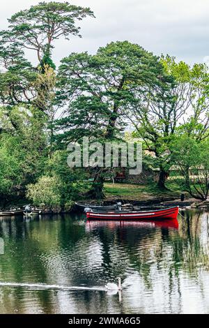 Moored boats on river in Killarney National Park, Ireland. High quality photo Stock Photo