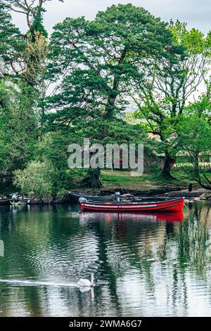 Moored boats on river in Killarney National Park, Ireland. High quality photo Stock Photo