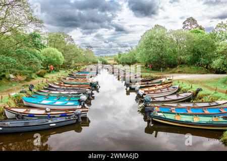 Moored boats on river in Killarney National Park, Ireland. High quality photo Stock Photo