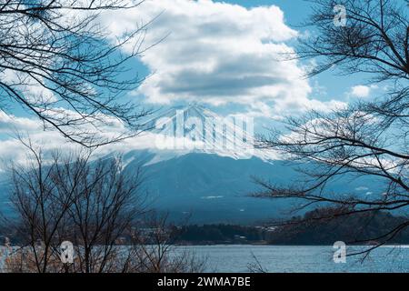 Mount Fuji with tree branches in winter Stock Photo