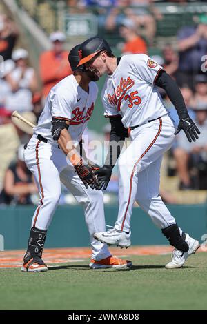 Sarasota FL USA; Baltimore Orioles catcher Adley Rutschman (35) is congratulated right fielder Anthony Santander (25) after he homered in the bottom o Stock Photo