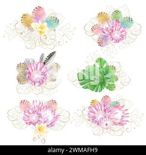 Set of watercolor bouquets in tropical style: pink protea flowers, white frangipania, colorful feathers, monstera leaves. Romantic, luxury design. Ide Stock Photo