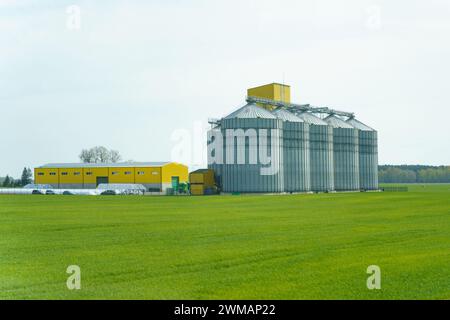 A modern agricultural setup featuring tall metal grain silos connected to bright yellow storage buildings, set against a sprawling green farmland. The Stock Photo