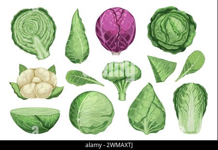 Cartoon different cabbage. Fresh organic vegetable brussels sprouts, healthy vegetarian food icons, raw cabbage and sprouts. Vector isolated set Stock Vector