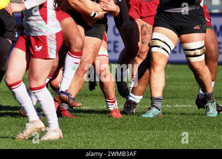 Exeter, Devon, UK. 24th Feb, 2024. Allianz Premiership Women's Rugby: Exeter Chiefs v Harlequins women at Sandy Park, Exeter, Devon, UK. Pictured: Rugby players legs Credit: nidpor/Alamy Live News Stock Photo