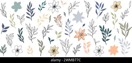 vector branch and leaves in trendy color palette and monochrome. Elegant branches for decoration. hand drawn botanical illustration for backgrounds Stock Vector