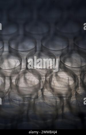 detail of transparent bubble wrap in dark tone vertically Stock Photo